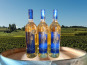 Château Haut-Lamouthe - Monbazillac AOC - 3x75 Cl