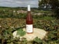 Domaine Doudeau-Leger - Sancerre Rosé AOC 2023 - 1 Bouteille