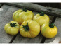 Les Jardins de Mondpa - tomate blanche à orange
