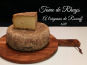 Tome de Rhuys - Ferme Fromagère de Suscinio - Tome De Rhuys Oignons De Roscoff- Quart De Tome