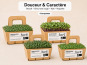 Ma Micropousse culinaire - Micro-pousses bio – Pack Douceur & Caractère – Brocoli, chou rouge, kale & roquette – 4 barquettes