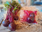 Les Jardins de Gérard - Betterave cuite sous-vide - 250 g