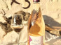 Domaine de la Chopinière du Roy - Lot de 3 Bouteilles de Rosé Sec et Fruité - 3 x 75 cl
