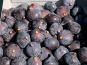 Délit de Gourmandise - Figues Noires Fraiches Bio - 2 kg
