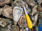 Huitres Damerose - Huitres naturelles Spéciale n°3 - 2 douzaines (25 pièces)