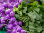 Nature et Saveurs - Ferme Aquaponique et Permacole Astérienne - Radis rond violet en botte - 250g