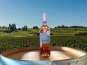 Château Haut-Lamouthe - Bergerac Rosé AOC - 3x75cl