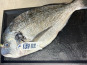 L'atelier des poissonniers - Daurade royale 650g