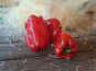 Les Jardins de Gérard - Poivron rouge Bio - 1 kg
