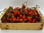 Le Panier du Producteur - Tomate Cerises - 1 Kg