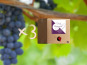 Domaine de la Chopinière du Roy - Lot de 3 BIB de vin rosé 2025 Sec et fuité 3 Litres