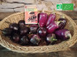 LES JARDINS DE KARINE - Duo mini Aubergine et Poivron violet - 500g