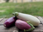 ChâteauFer - Aubergine