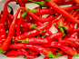 Nature et Saveurs - Ferme Aquaponique et Permacole Astérienne - Piment de Cayenne – Allongé, ardent et plein de caractère
