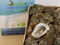 Huîtres Henry - 100 Huitres creuses BIO "La Belle de Quiberon" calibre 3 - 8kg