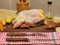 Fermette des Landes - Poulet fermier 1,8 kg