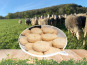 Dessine moi une brebis - Brebicou de brebis 3+1 - 400g