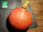 Ferme de Carcouet - Potimarron Bio - 1.8 à 2 kg