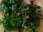 Maison Argentain - Petit Panier de Nos Herbes Aromatiques - 5 Bottes  : Classiques & Originales