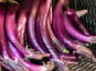 ChâteauFer - Aubergine Japonaise 500g