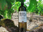 Château Jouvente - Le Blanc confidentiel de Jouvente - AOC Graves 2023 - 1 Bouteille