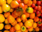 ChâteauFer - Tomate Ancienne Mix