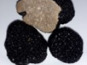 Ferme de Pourcier - Truffe Fraîche - Truffe d'été 100g