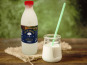 Ferme de La Tremblaye - Lait de vache Jersiaise