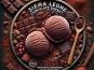 Les Garçons Glaciers - Sorbet BIO Chocolat 500ml