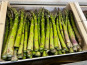 Domaine Reverchon - Asperge verte 1kg
