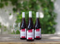 Domaine de l'Ambroisie - Paradoxe  3x75cl