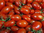 Le Pré de la Rivière - Tomate cerise rouge allongée Bio - Origine France