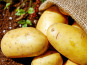 Le Châtaignier - Pomme De Terre Nouvelle - 1kg