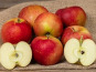 Les Jardins de Gérard - Pomme Juliet Bio - 1 kg