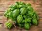 Nature et Saveurs - Ferme Aquaponique et Permacole Astérienne - Basilic Genovese – intensité aromatique et fraîcheur maîtrisée