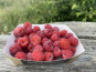 Ferme Sinsac - framboises fraiches