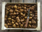 Nature et Saveurs - Ferme Aquaponique et Permacole Astérienne - Pomme de terre Grenaille - 500g