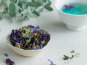 La Cabane à plantes - Infusion Magie bleue