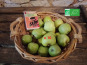 LES JARDINS DE KARINE - Pommes prise confiture - 10kg