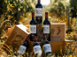 Vignobles Brunot - Bordeaux Supérieur Rouge - Château Maledan 2020 - 6x75cl