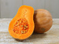 ChâteauFer - Courge - Sucrine du Berry (Grande)