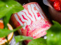 LOVEN Crew - Brasserie L'Indispensable - Kombucha Flamingo 25 (Fraise, Pomelo & Basilic) - 10x33cl