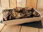 Gourmets de l'Ouest - Huîtres de Cancale n°2 - bourriche de 50
