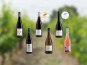 Domaine de la Chopinière du Roy - Coffret cadeau découverte des vins de Loire "Les 6 vins de Loire du Domaine" - 6 x 75 cl