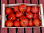 Domaine L'Hermiton - CAISSE DE POTI-FARCIES BIO