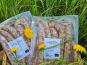 Ferme du Groin à L’Airbe - 5 chipolatas aux herbes (porc plein air bio!)
