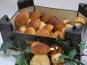 Trapon Champignons - Cèpes frais - 1kg