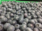 Myrtilles du Trimoulet - Myrtilles fraiches cultivées