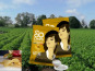 SO CHiPS - Chips Nature Label Qualité Artisan • 32x40g