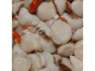 Poissonnerie Paon - Noix de St Jacques coraillées : Lot de 500 g